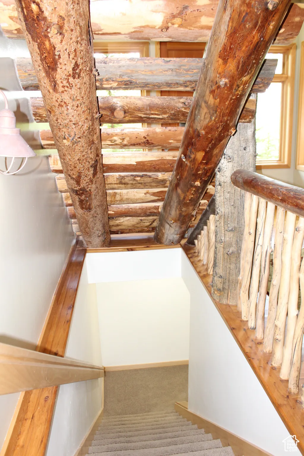 Stairs featuring carpet