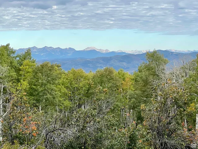 Mountain Views