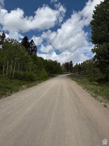 Alta Drive access road.