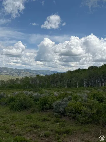 View of the North side of the lot looking South East.