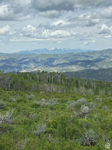 View of Mount Timpanogos.