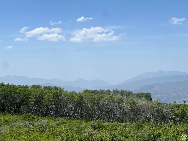 View of mountain background featuring a heavily wooded area
