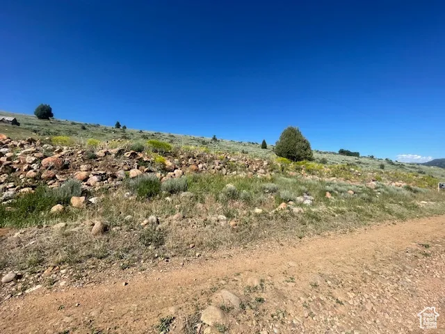 View of undeveloped land
