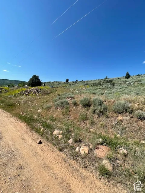 View of yard featuring a rural view