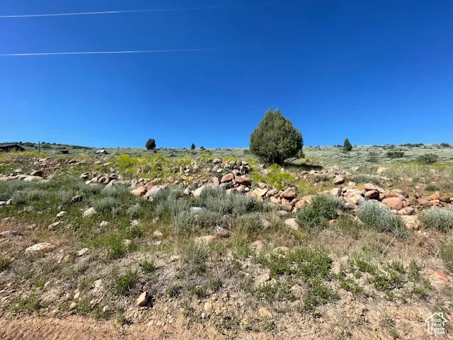 View of local wilderness