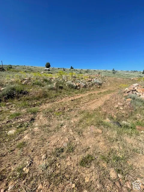 View of undeveloped land
