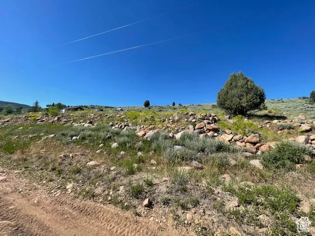 View of undeveloped land