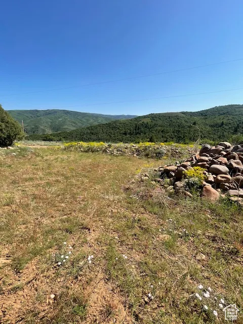 View of mountain backdrop