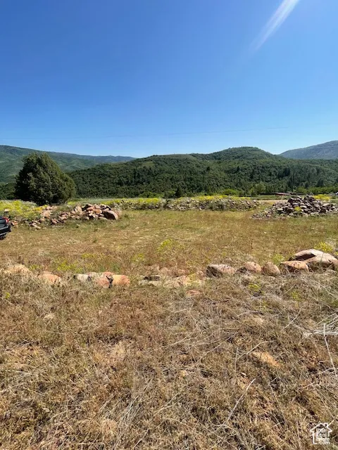 View of mountain background