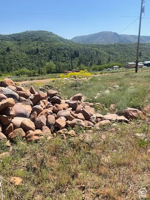 Mountain view with a forest