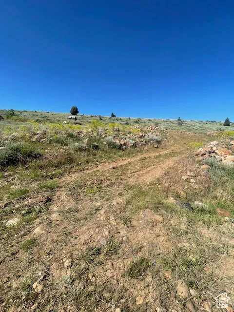 View of undeveloped land