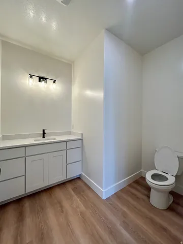 Bathroom with vanity and light wood-type flooring