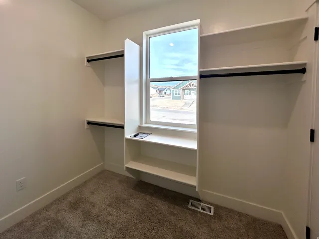Spacious closet with dark carpet