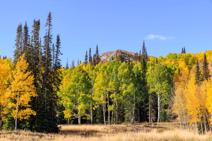325 White Pine Canyon Rd, Park City, Utah 84060