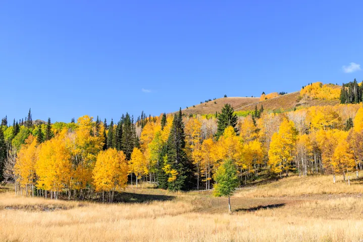 325 White Pine Canyon Rd, Park City, Utah 84060