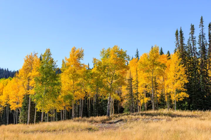325 White Pine Canyon Rd, Park City, Utah 84060