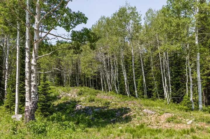 325 White Pine Canyon Rd, Park City, Utah 84060