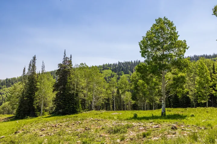 325 White Pine Canyon Rd, Park City, Utah 84060