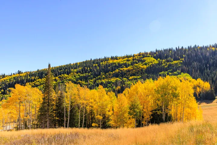 325 White Pine Canyon Rd, Park City, Utah 84060