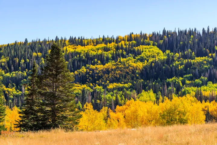 325 White Pine Canyon Rd, Park City, Utah 84060