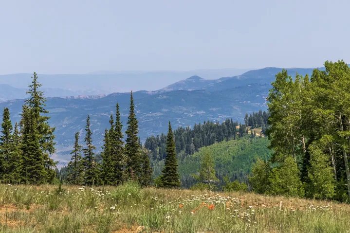 325 White Pine Canyon Rd, Park City, Utah 84060