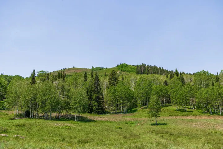 325 White Pine Canyon Rd, Park City, Utah 84060