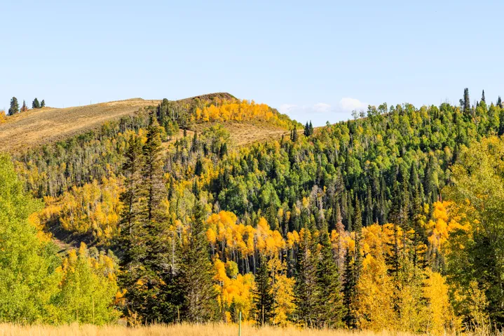 325 White Pine Canyon Rd, Park City, Utah 84060
