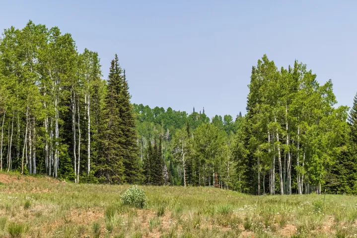 325 White Pine Canyon Rd, Park City, Utah 84060
