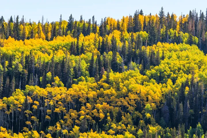 325 White Pine Canyon Rd, Park City, Utah 84060