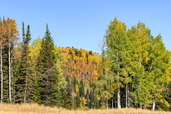 325 White Pine Canyon Rd, Park City, Utah 84060