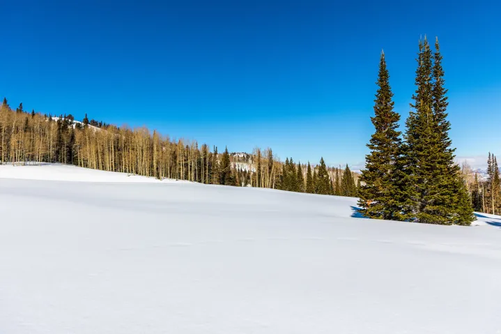325 White Pine Canyon Rd, Park City, Utah 84060
