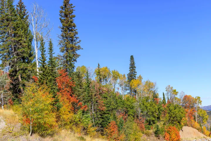 325 White Pine Canyon Rd, Park City, Utah 84060