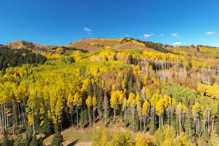 325 White Pine Canyon Rd, Park City, Utah 84060