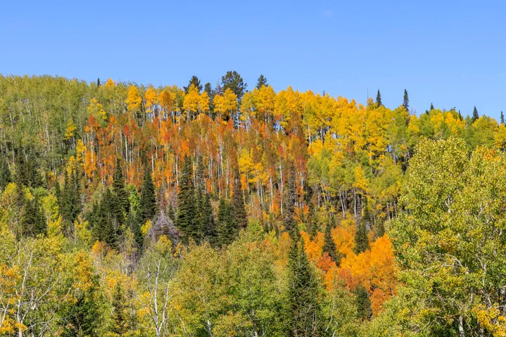 325 White Pine Canyon Rd, Park City, Utah 84060