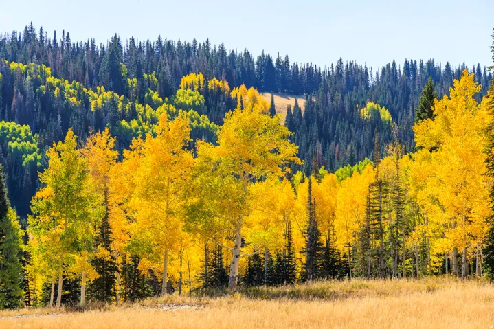 325 White Pine Canyon Rd, Park City, Utah 84060