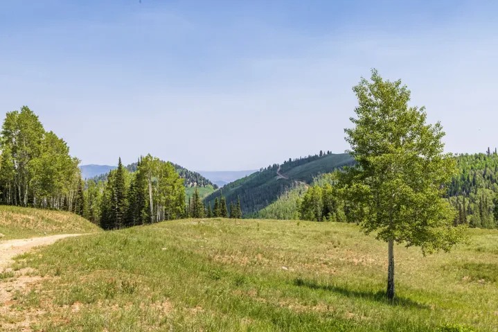 325 White Pine Canyon Rd, Park City, Utah 84060