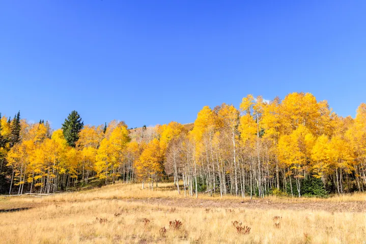 325 White Pine Canyon Rd, Park City, Utah 84060