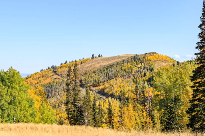 325 White Pine Canyon Rd, Park City, Utah 84060