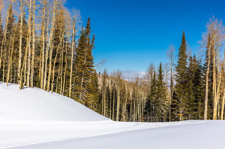 325 White Pine Canyon Rd, Park City, Utah 84060