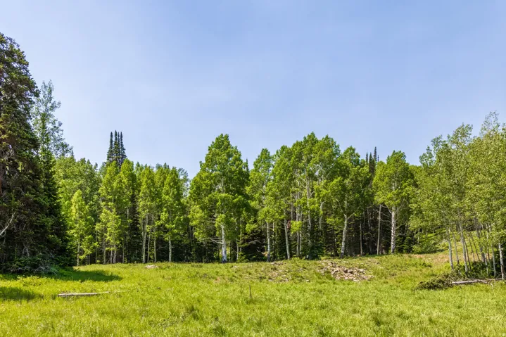 325 White Pine Canyon Rd, Park City, Utah 84060