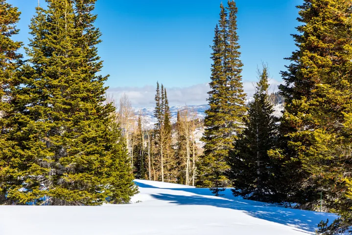 325 White Pine Canyon Rd, Park City, Utah 84060