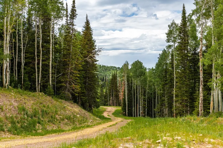 325 White Pine Canyon Rd, Park City, Utah 84060