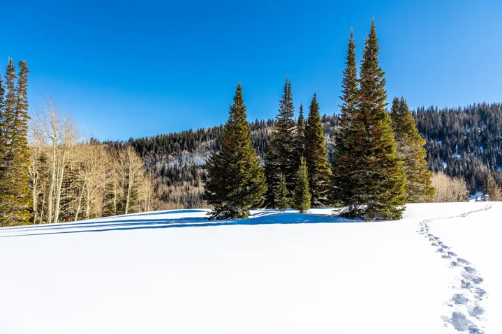 325 White Pine Canyon Rd, Park City, Utah 84060