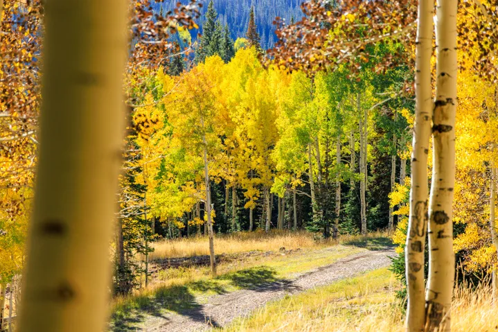 325 White Pine Canyon Rd, Park City, Utah 84060
