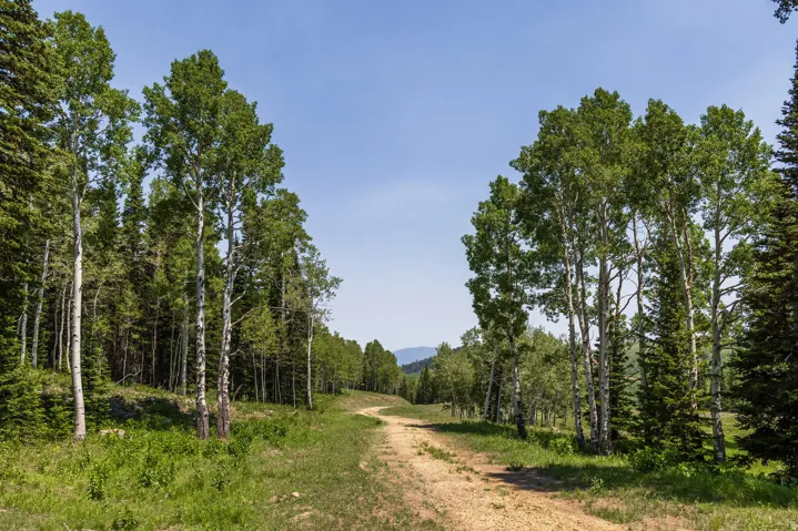325 White Pine Canyon Rd, Park City, Utah 84060