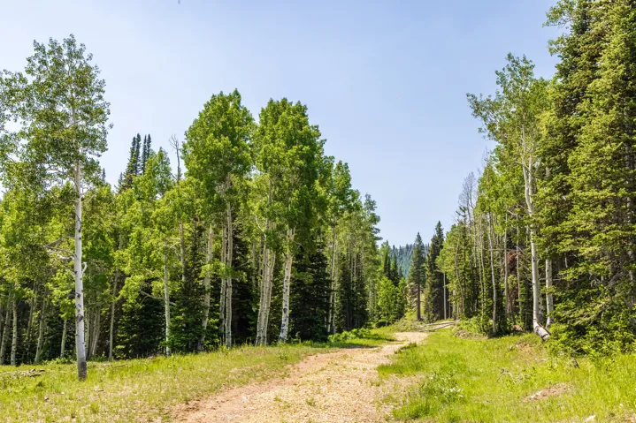 325 White Pine Canyon Rd, Park City, Utah 84060