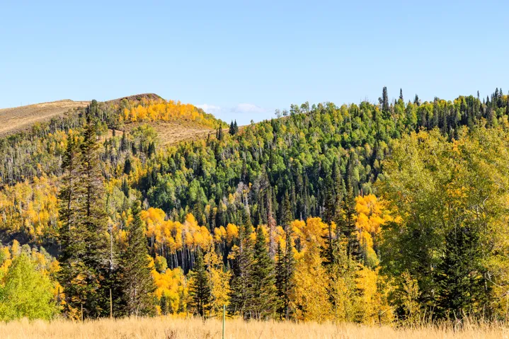 325 White Pine Canyon Rd, Park City, Utah 84060