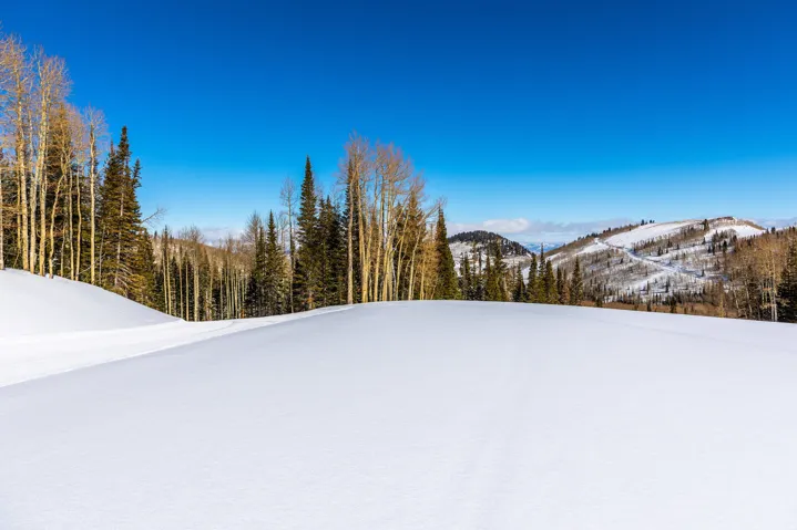 325 White Pine Canyon Rd, Park City, Utah 84060