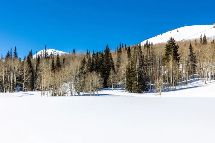325 White Pine Canyon Rd, Park City, Utah 84060