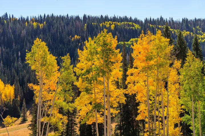 325 White Pine Canyon Rd, Park City, Utah 84060